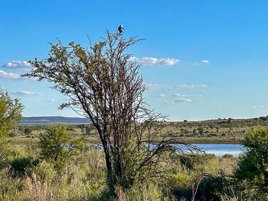 0 Bedroom Property for Sale in Lekwena Wildlife Estate North West